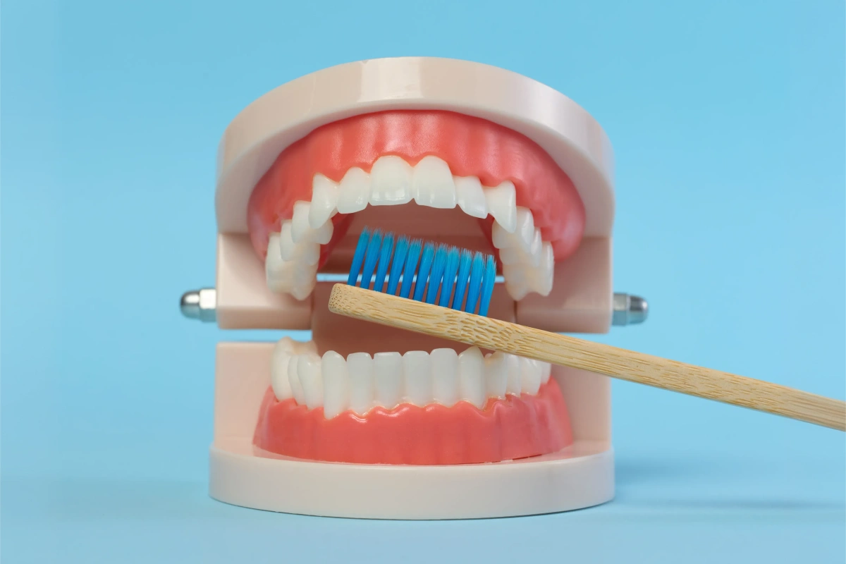 We Love Our Dental Hygienists